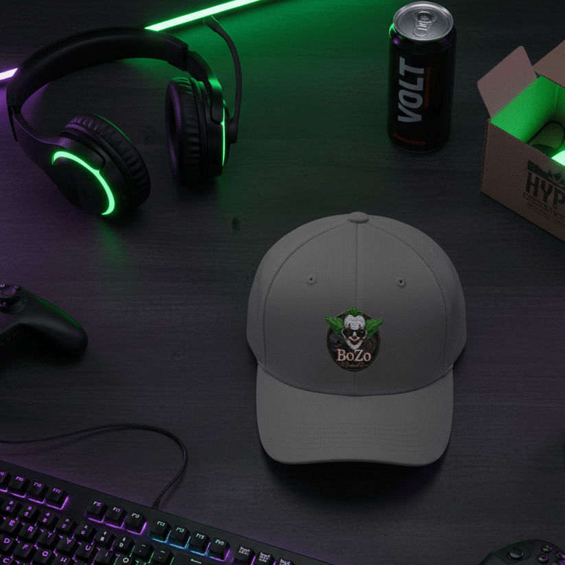 BoZo™— Gamer / Structured T Cap – BoZoMemeTêê | mème streetwear