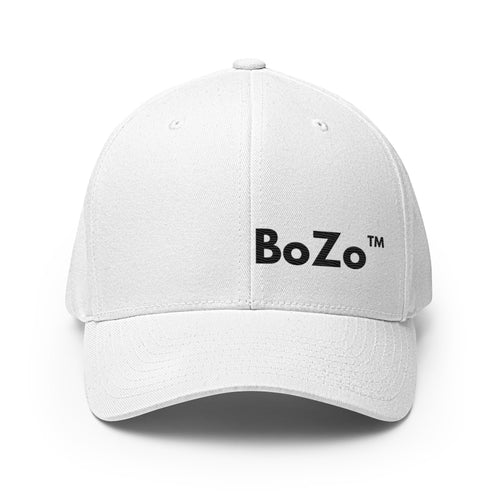 BoZo™ / Structured T Cap Hat – BoZoMemeTêê | mème streetwear
