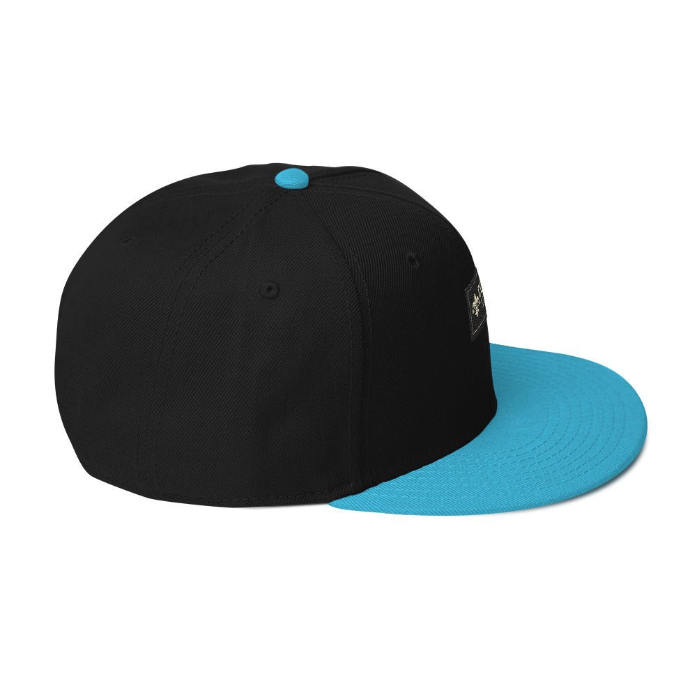 CLNFT ™️ | SNAPBACK Hat – BoZoMemeTêê | mème streetwear