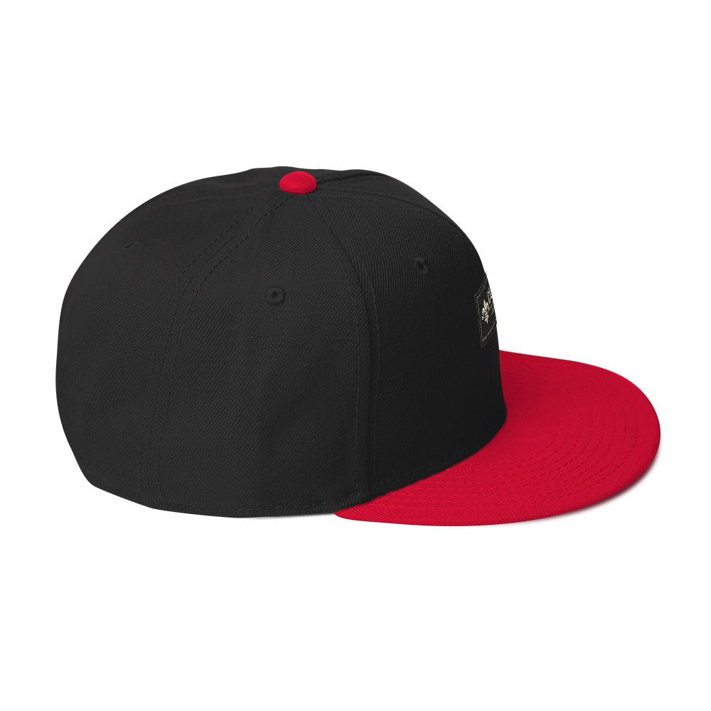 CLNFT ™️ | SNAPBACK Hat – BoZoMemeTêê | mème streetwear