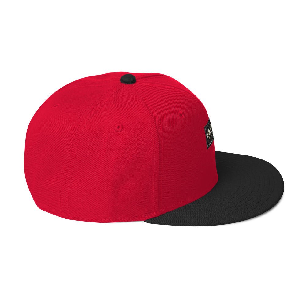 CLNFT ™️ | SNAPBACK Hat – BoZoMemeTêê | mème streetwear
