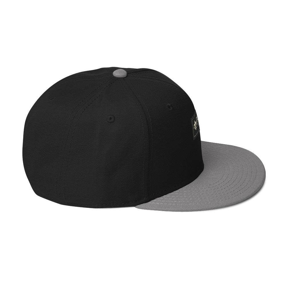 CLNFT ™️ | SNAPBACK Hat – BoZoMemeTêê | mème streetwear