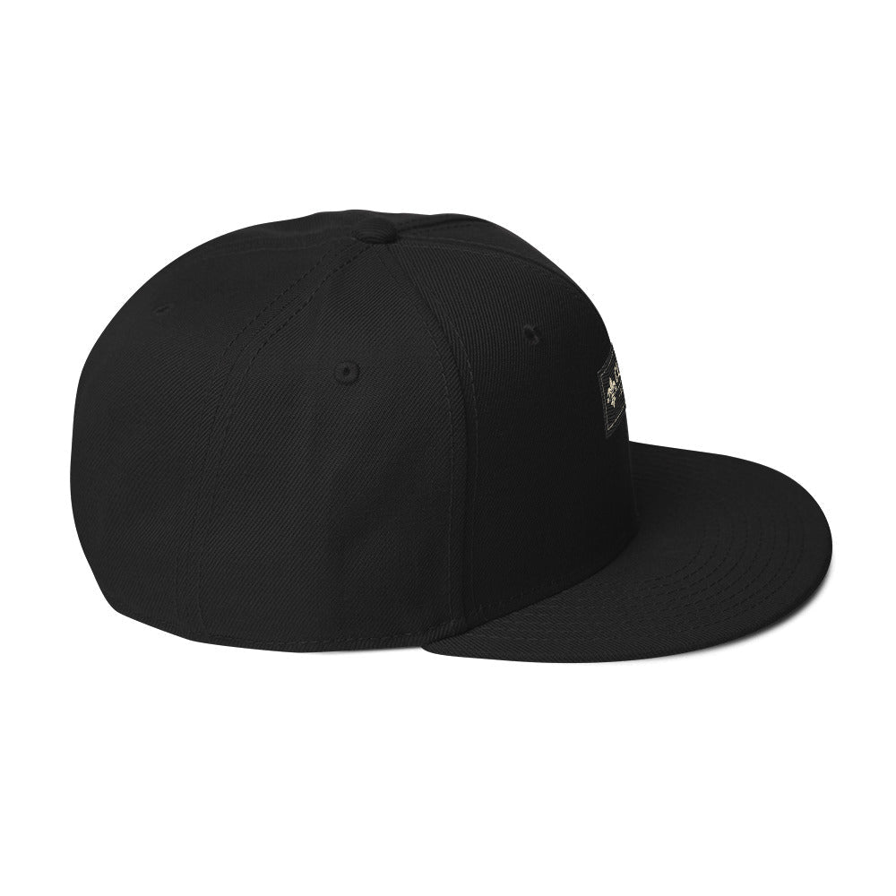 CLNFT ™️ | SNAPBACK Hat – BoZoMemeTêê | mème streetwear