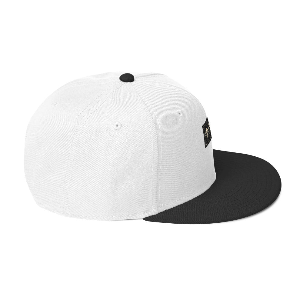CLNFT ™️ | SNAPBACK Hat – BoZoMemeTêê | mème streetwear