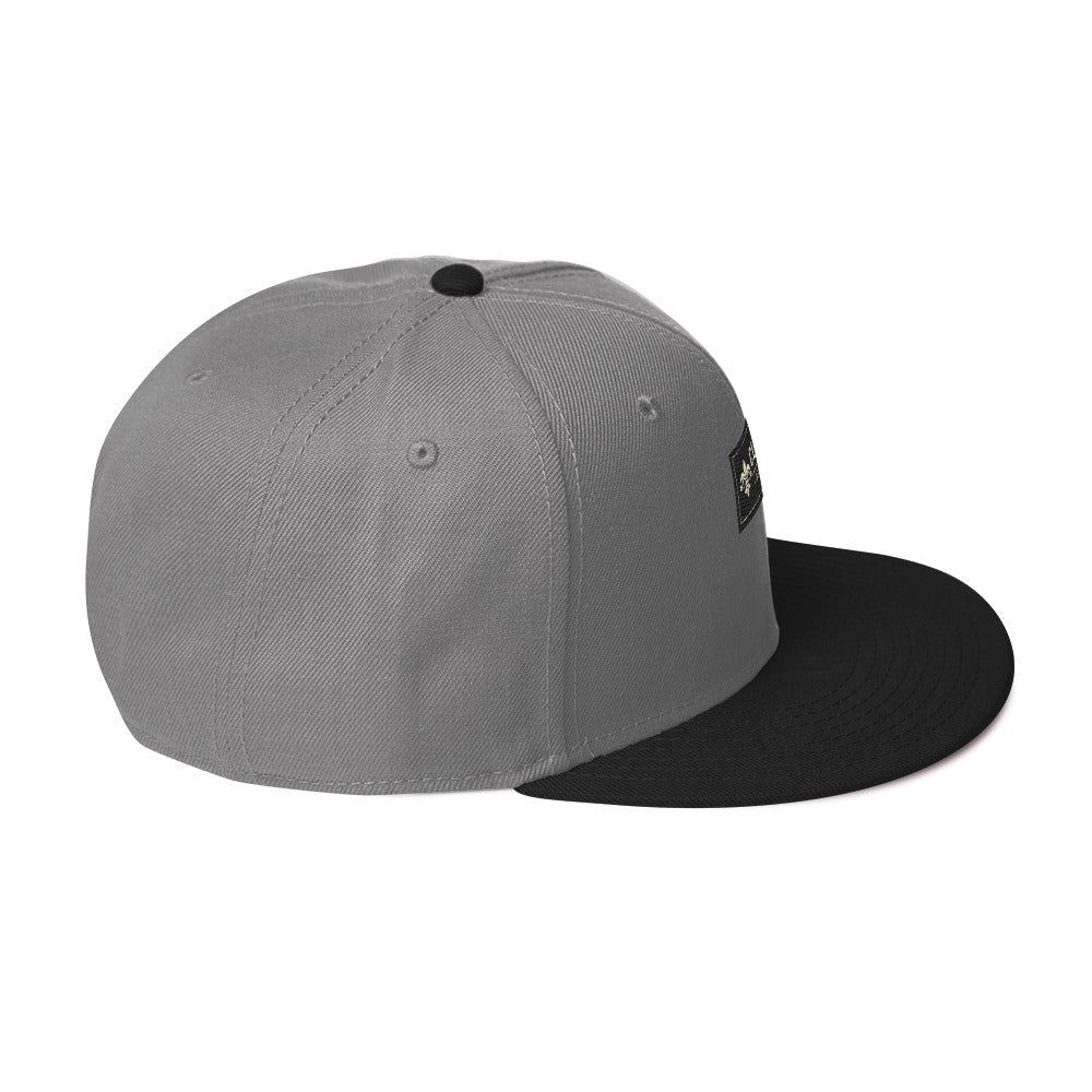 CLNFT ™️ | SNAPBACK Hat – BoZoMemeTêê | mème streetwear