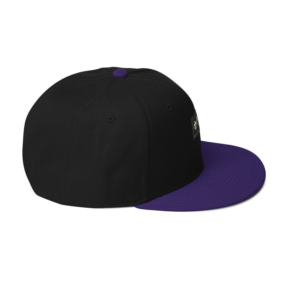 CLNFT ™️ | SNAPBACK Hat – BoZoMemeTêê | mème streetwear