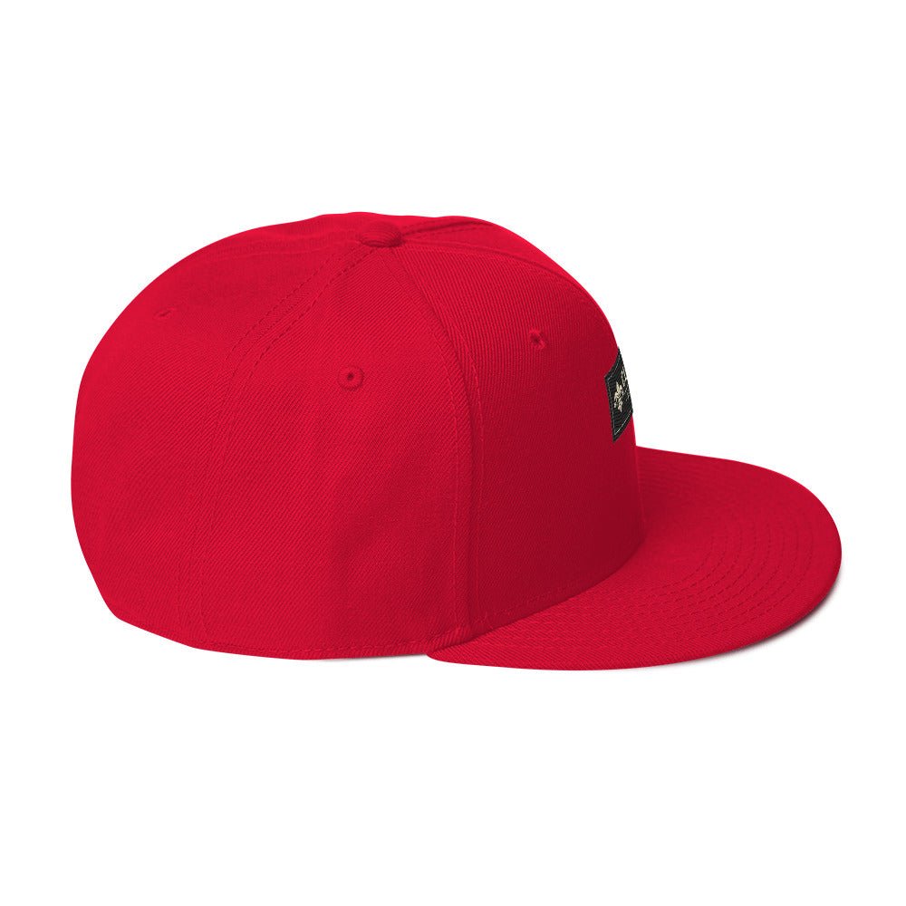 CLNFT ™️ | SNAPBACK Hat – BoZoMemeTêê | mème streetwear