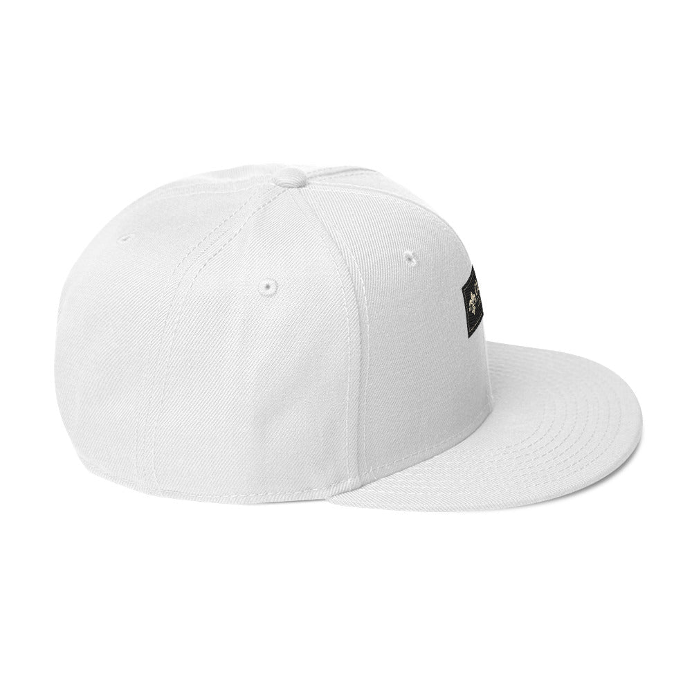 CLNFT ™️ | SNAPBACK Hat – BoZoMemeTêê | mème streetwear