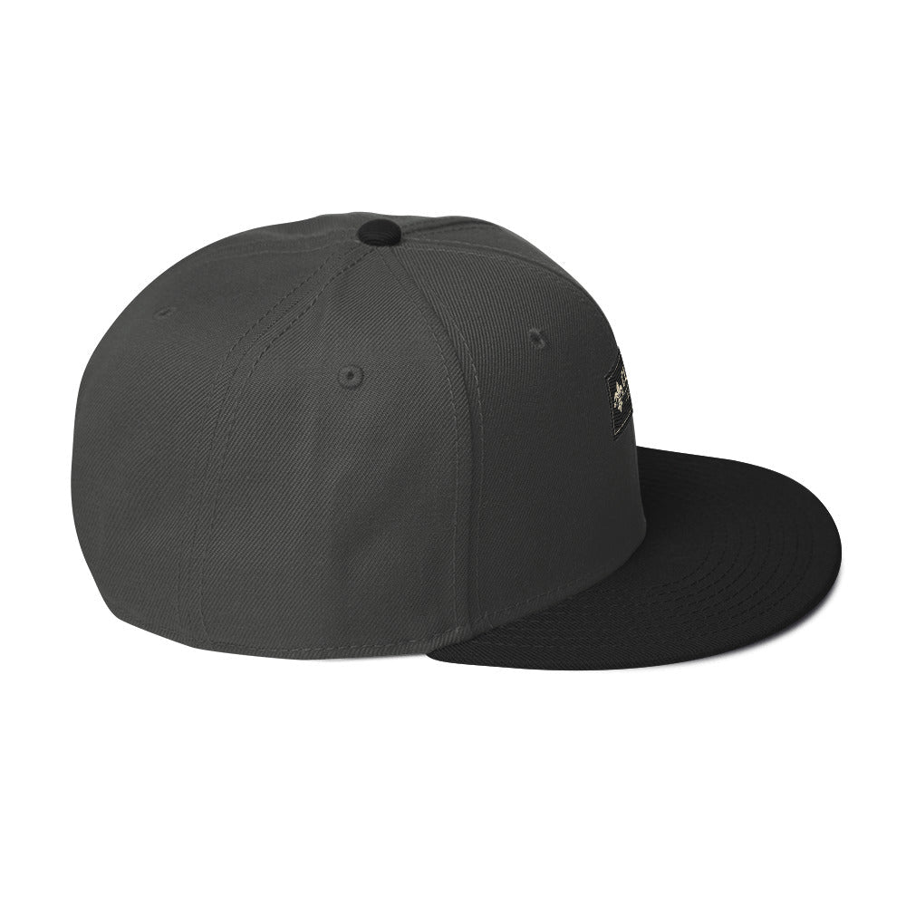 CLNFT ™️ | SNAPBACK Hat – BoZoMemeTêê | mème streetwear